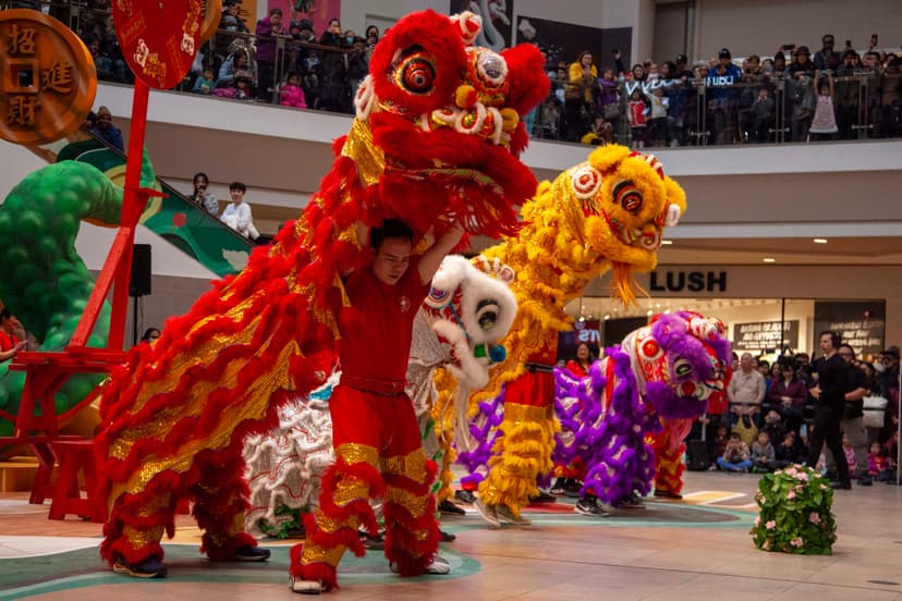 Leaping lion: The art, tradition and future of lion dancing
