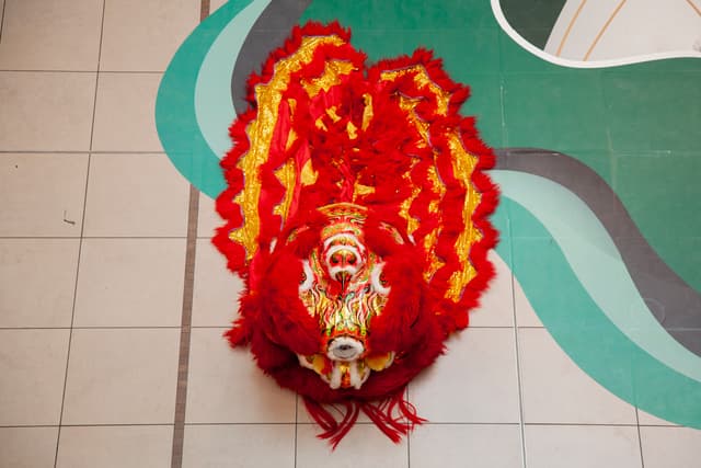 Lion Dance preview