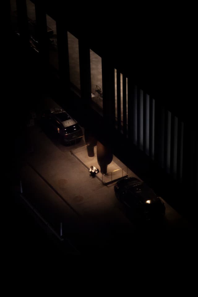 University Projects preview